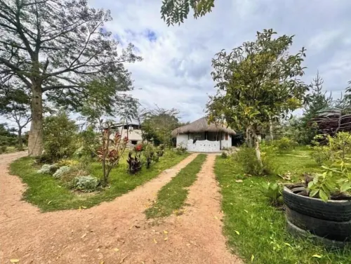 Podocarpus cottages 03