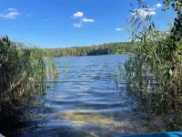 Niemtscher Lodge by the lake Hotels in Senftenberg