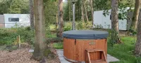 Forest Lodge 111 + Hot tub Het Groene Hert Hotels in Haarle