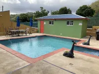 Taste Of Freedom Hotels in Brighton