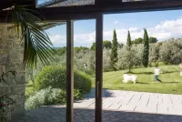 Old farmhouse surrounded by olive groves, near the village, 5 places, first floor, swimming pool