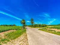 Luxurious holiday home in Heers with terrace - 2 étoiles