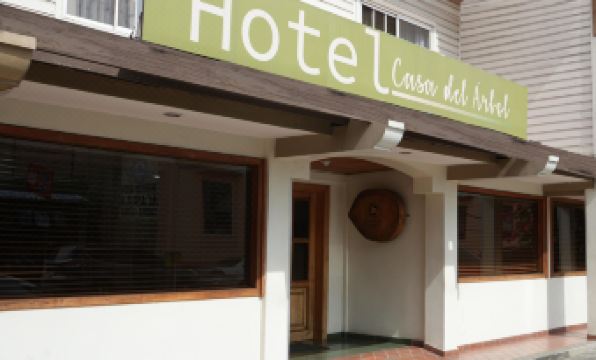 Hotel Casa del Arbol
