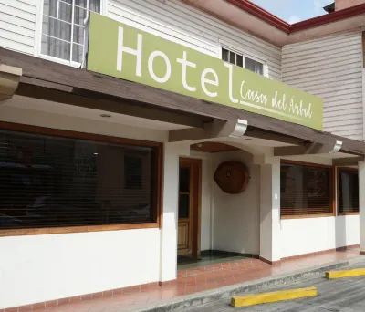 Hotel Casa del Arbol Hotels in 