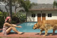 Villlas Mexiko - Pool