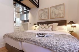 Exclusive apartment in Seville center. Almansa