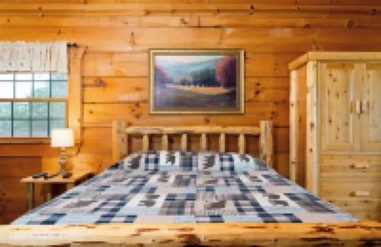 Luray Mountain Log Cabin #4 Deluxe Firepit Hot Tub Stone Fireplace Mountain View