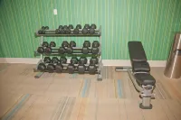 Holiday Inn Express & Suites Decatur by IHG - Gym