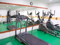 Airport Hotel Budapest - Gym