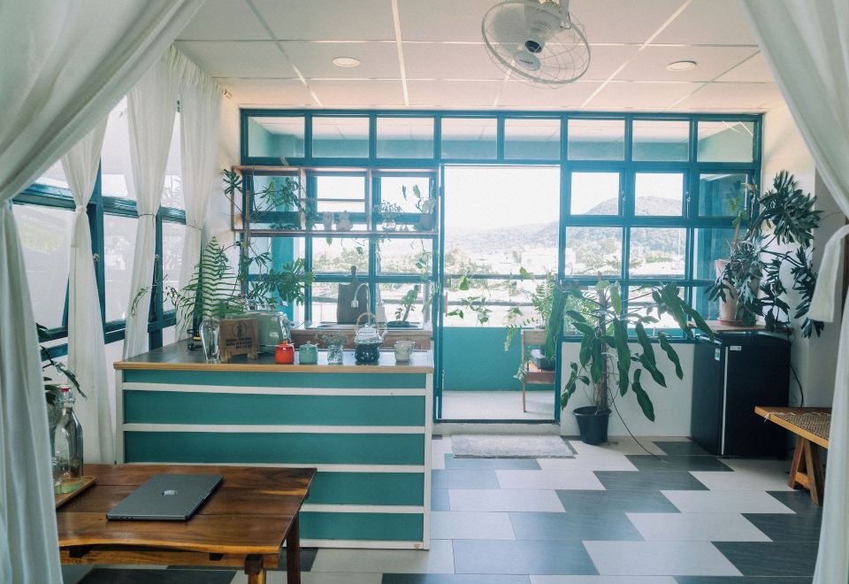 틴 리트리트 전망