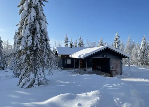 Modern 3BR Villa in Ruka Near Ski Slopes - Villas