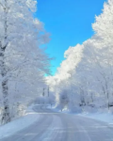 Mountain Memories at Sugar Top! 8th floor facing the slopes with amazing sunsets