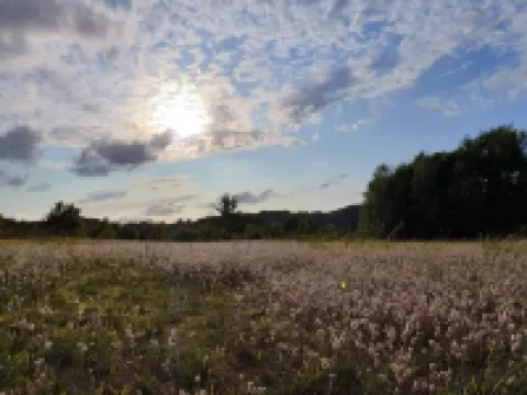 Cozy Holiday Home in Haderslev Near Ocean