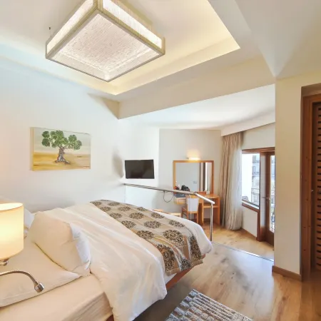 Hotel Europa Olympia