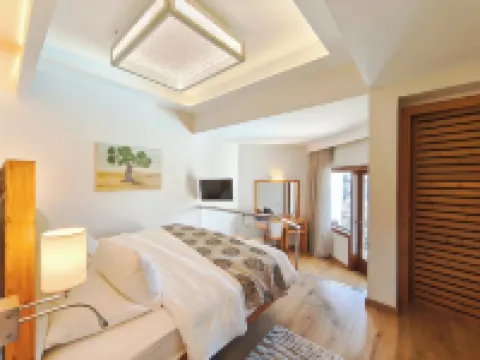 Hotel Europa Olympia