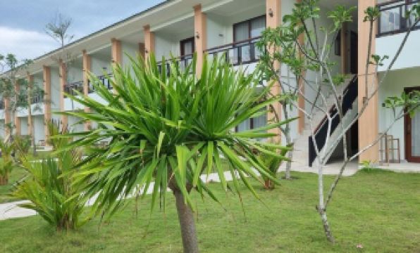 Pine Tree Beach Hotel