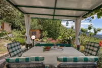 House Olive - Pet friendly