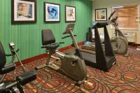 Holiday Inn Express & Suites LONOKE I-40 (EXIT 175) by IHG