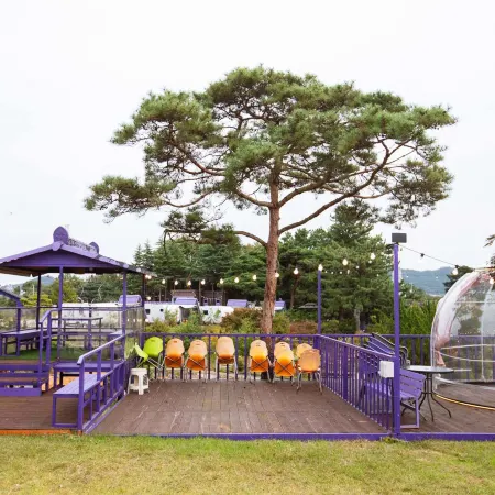 Jeongeup Starlight Garden