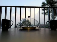 Oren Kasauli - Mountain view