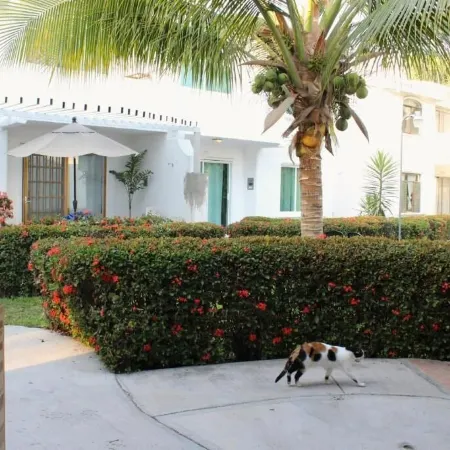 Casa Coral