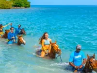 Sunshine Seashore Escape Jamaica Hotels in Lucea