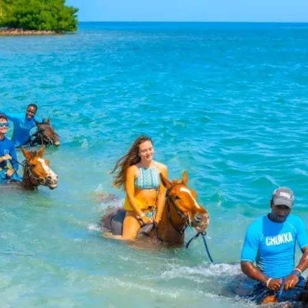 Sunshine Seashore Escape Jamaica Отели в г. Лусеа