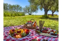 Delfinia Hotel & Bungalows - breakfast