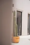 Patio 7 Studios - Homestays