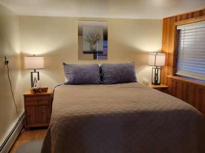 Rustic, Cozy Cottage with Backyard Waterfall and Cayuga Lake Views!