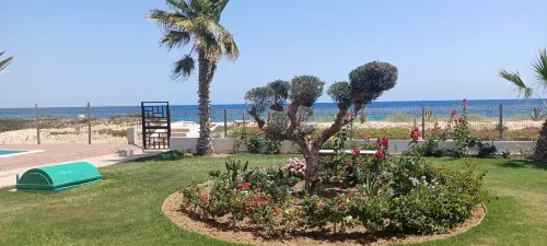 Beach Front Luxury Living Apartment - parking
