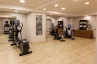 Hampton by Hilton Gaziantep City Centre - palestra