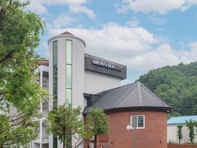 Brown Dot Hongcheon Hongcheonguncheong Branch