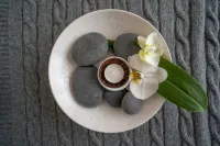 The Roseate Reading - spa