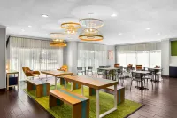 Spark by Hilton Pearland - Haustierfreundliche