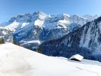Naulaz