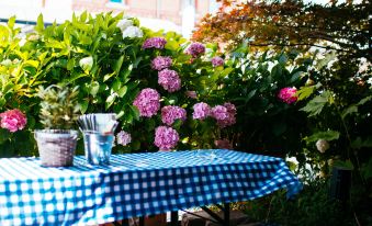 a blue and white checkered table with a bucket and pitcher on it , surrounded by greenery and flowers at Bischoffs