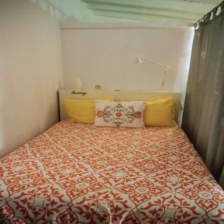 Forest House Casinha do Carvalhal