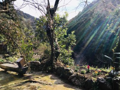 ホテル周辺 古民家宿 寝つきいいキツネの写真