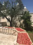 Trullo Monte Olimpo 5