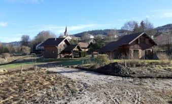 Lovely Chalet in Vosges with Shared Pool