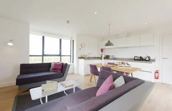 因威拉羅奇酒店 - 2 床華麗公寓