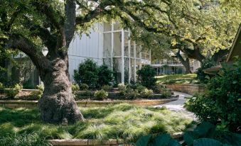 a large white building surrounded by lush green trees and a well - maintained garden , creating a picturesque scene at Stagecoach Inn Formerly Shady Villa