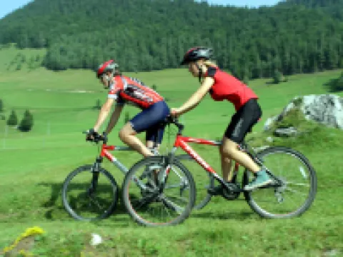 ディパンダンス ヴィラ ヒギエア - テルメ ドブラナ ツェリェのホテル