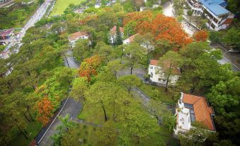 aerial view of a residential area with trees in various stages of autumn foliage , including orange - colored leaves at Sai Gon Ha Long Hotel