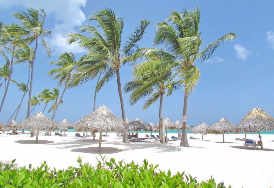 Aventura Deluxe Beach Club u0026 Spa-Bavaro Updated 2023 Room Price-Reviews u0026  Deals | Trip.com