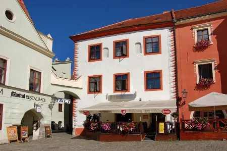 Hotel Grand Отели в г. Чески-Крумлов