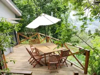 Shiroyama Ryokan Hotels in 