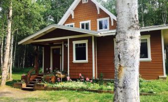 Takleetnas Mount Dall Cottage with Wi-fi and Washer/Dryer