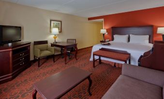 Hampton Inn Rochester-Webster